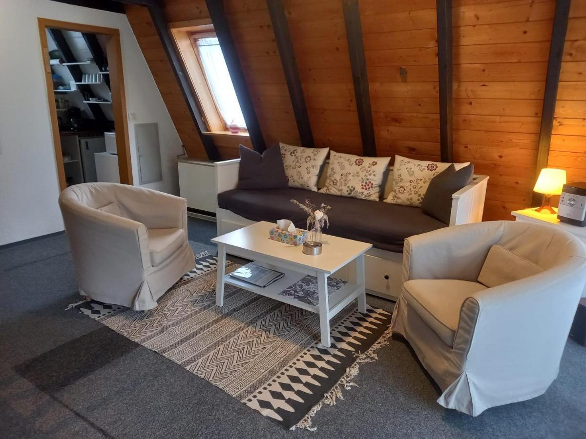 Gemuetliches Ferienhaus Mit Sonniger Terrasse Frankenwald Naehe Badesee Smart-Tv Lichtenberg  Esterno foto