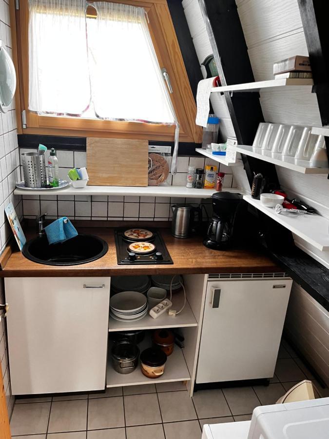Gemuetliches Ferienhaus Mit Sonniger Terrasse Frankenwald Naehe Badesee Smart-Tv Lichtenberg  Esterno foto